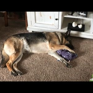 Meet your Posher, Casey